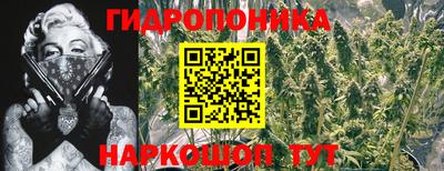 каннабис Сланцы