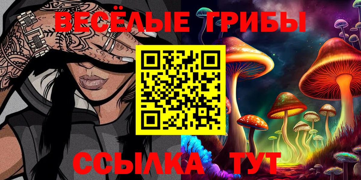 Псилоцибиновые грибы Cubensis Отрадный