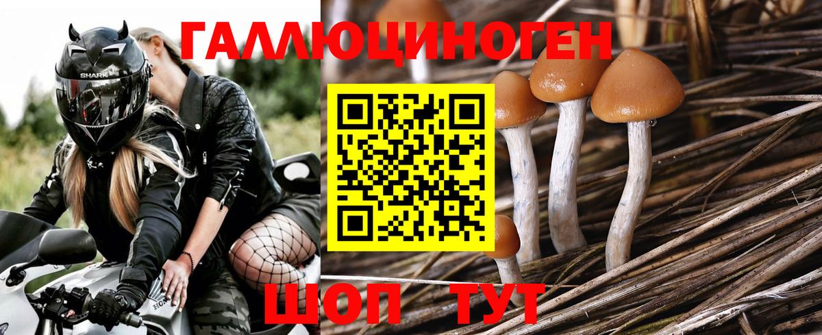 MDMA  Каннабис  Cocaine  Вход с VPN  Отрадный  Меф МЯУ МЯУ  